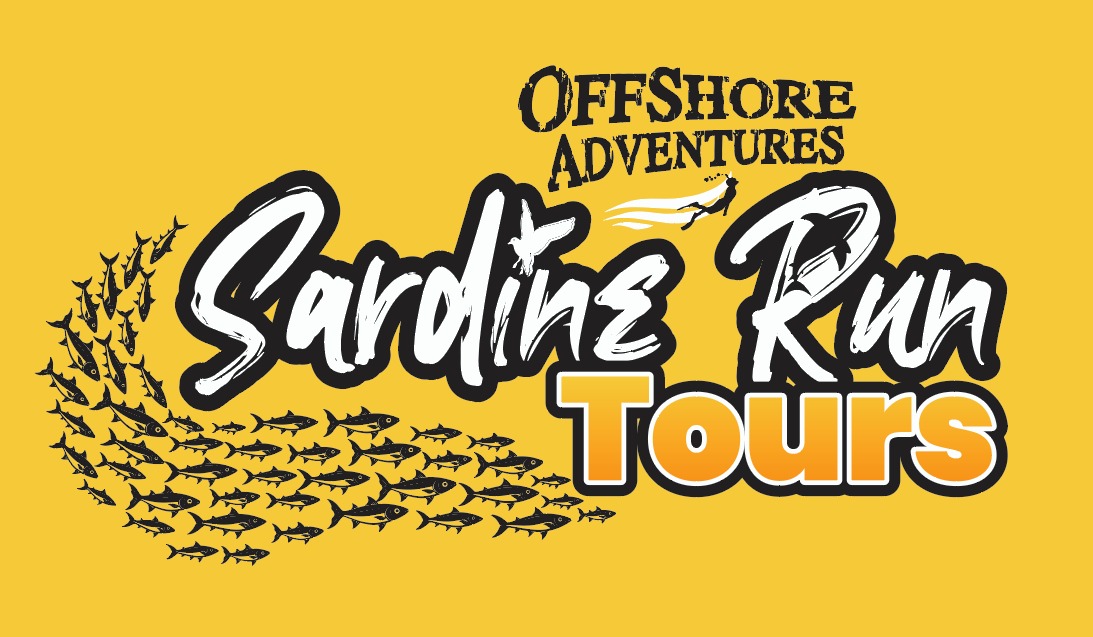 Student Sardine Run expedition